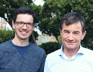 gartengestaltung in steyr