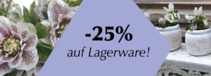 Aktion Halbartschalger